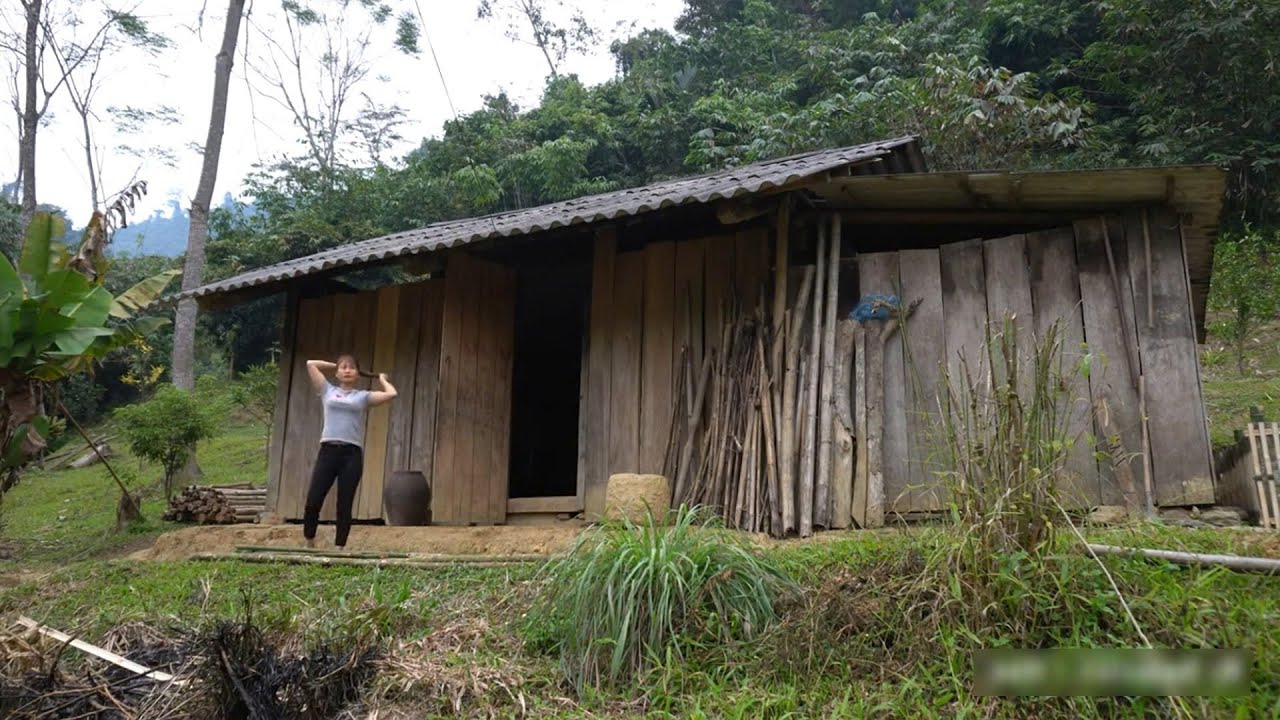 Solo Survival: A Day Building a Simple Pig Pen from Natural Materials