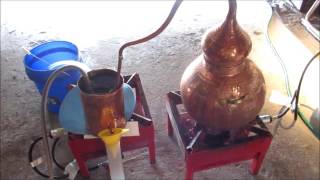 Apricot Schnapps