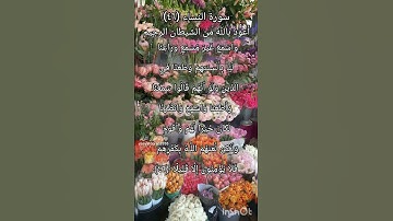 سورة النساء الآية ٤٦ ²