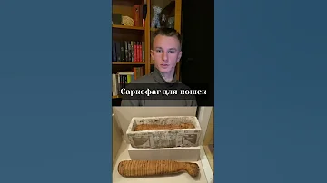 Как хоронили кошек в Древнем Египте? #кот #котики #египет #древнийегипет #историязаминуту