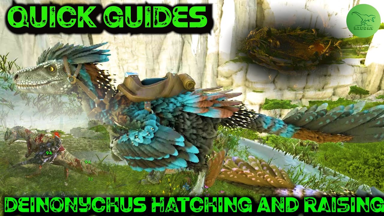 How To Steal, Hatch Raise Deinonychus Eggs - Ark Quick Guides 2020 - YouTube