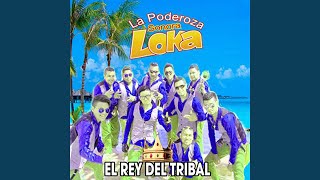 Video thumbnail of "La Poderosa Sonora Loka - Despierta La Cuidad"