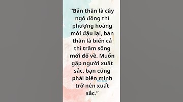 Bạn Là Cây Ngô Đồng #dongluc #thanhcong #cuocsong #phattrienbanthan #loin  #baihoccuocsong#tamtrang