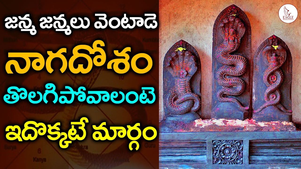 ఇవి దానం చేస్తే చాలు నాగదోషం పోతుందట | How to Get rid of Naga dosham | Eagle Media Works