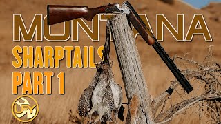 Montana Sharptails! Part 1 | Hunting with a GSP and Lab