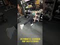 Dumbbell loaded hip rotations