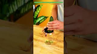 Viral Kitchen Tricks That Everyone Is Talking About! #5 #adamrose #cooking #tips #food #lifehacks Net Worth