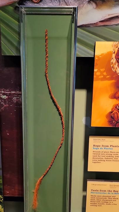 🤔Who Lived in Florida First? The Untold Story You NEED to Know! #