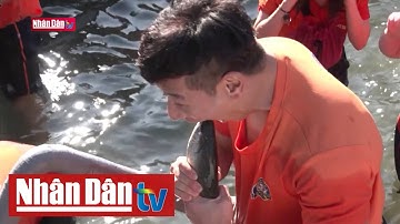 Lễ hội câu cá trên băng tại Hàn Quốc hấp dẫn hơn 1 triệu du khách