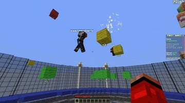 SilverHawk24-Minigames-Savage Internet!