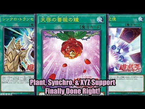 Plant, Synchro, & XYZ Support Finally Done Right? Plant, Synchro, & XYZ Support Finally Done Right?
