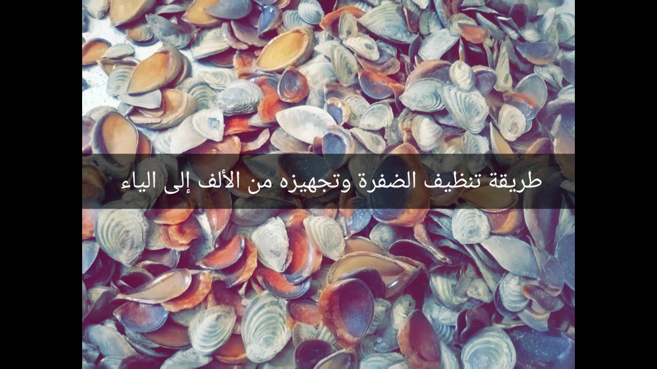 طريقه تنظيف الضفرة وتجهيزه من الألف إلى الياء لإعداد البخور