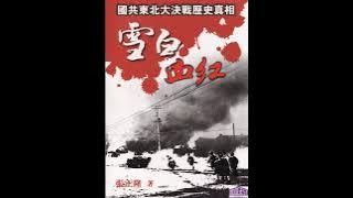 雪白血红（张正隆）18——六、雪大好个冬 第16章：雨加雪