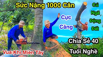 Cực Căng Thẳng Chấn Động Mặt Đất Lòng Sông Vua Khỉ Cưa Cây Dừa Cây Sao Cực Mạo Hiểm