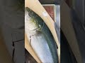 ぶり さばき方 #ねぎお寿司 #寿司屋 #sushichef #さばく #fishlove #fishlovers #fishlover #fish #fishcutting #ぶり #ブリ #鰤