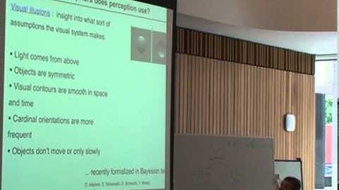Peggy Series - The "Bayesian Brain hypothesis": Is the brain a probabilistic machine?
