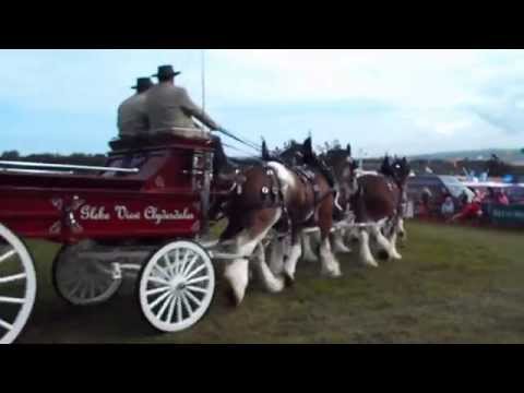 camera iphone 8 plus apk Royal Show, Knockaloe, August 7, 2015