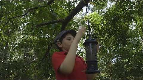 VIC3001 Module 3 Activity: Four Clip Edit