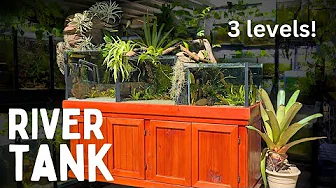 3-Tier Sunlit River Aquarium (with a Waterfall)