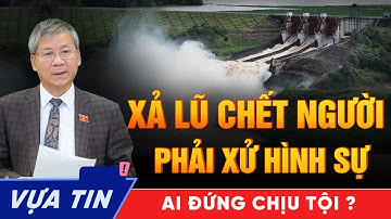 “Xả Lũ Gây Chết Người Phải Bị Xử Hình Sự” – Tuyên Bố Gây Rúng Động Khiến Nhiều Người Lạnh Sống Lưng!