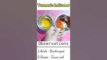 Turmeric indicator experiment#shorts