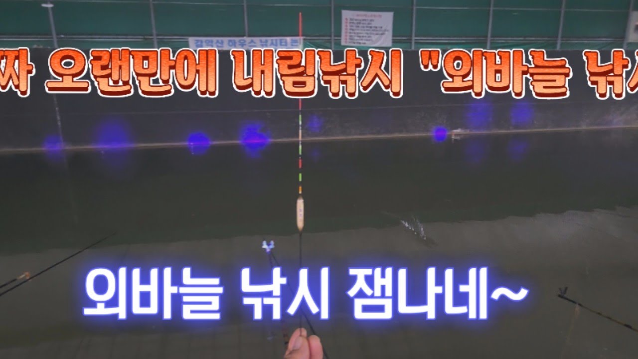 10년만에 내림낚시 