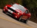 Мегазаводы  Ford Mustang