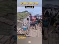 Funny Video #laughwithpets#funny
