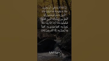 سورة البقرة: التلاوة المعبرة مع الترجمة الإنجليزية