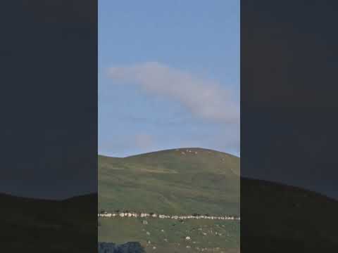 Video: Alpine Dagestan: natur, nødhjelp, miljøproblemer