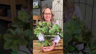 Practical tips you can use in your own yard and garden!