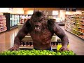 Un loup-garou au supermarchéUn loup-garou au supermarché