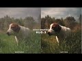 COMO HACER EL COLOR GRADING PARA HLG-3