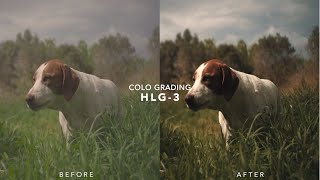 COMO HACER EL COLOR GRADING PARA HLG-3