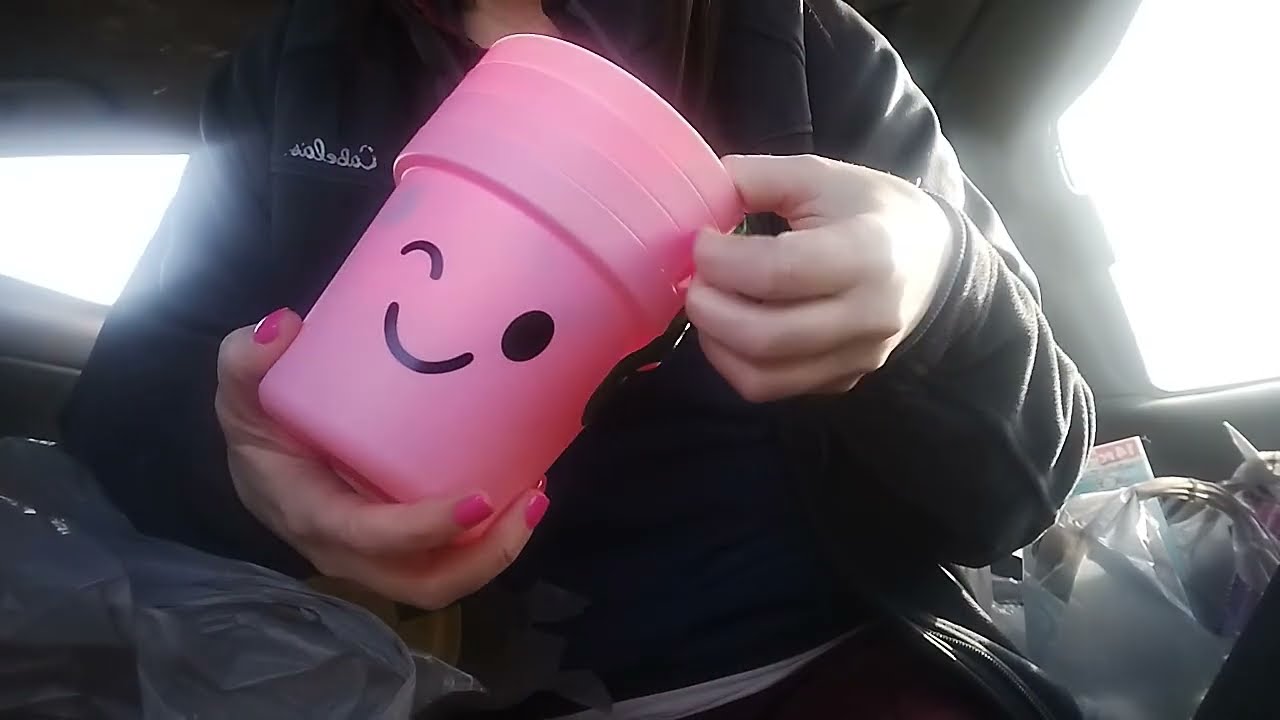 ASMR huge dollar tree haul 