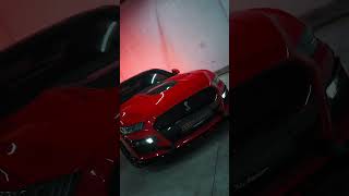 Shelby The Heartthrob ❤️| Abe Premium Pre-Owned Cars