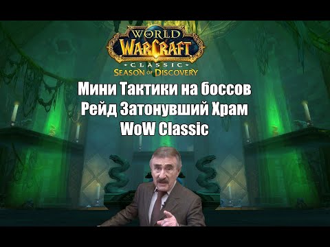 Мини тактики на боссов | Рейд Затонувший Храм | WoW: Season of Discovery | Sardaco's Guide