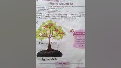 Science, Unit4:plants around us||Afaq Iqbal Series||improve your skills Question1,circle ||Grade 1