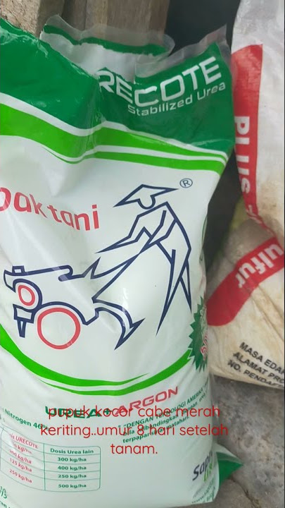 pupuk urea nitrat.( pak tani)npk phonska plus.#paktani#cabemerahkeriting #cabeakar