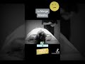 La Morgue Maldita Parte 5 Última