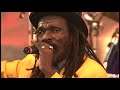 Culture  international herb live at reggae on the river
