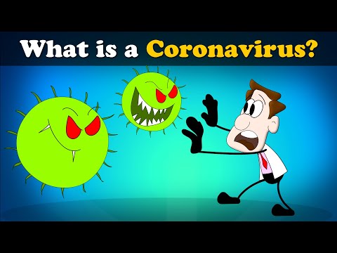 What is a Coronavirus? + more videos | COVID-19 | #aumsum #kids #science #education #children