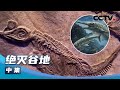 《绝灭谷地》比恐龙更早的远古海洋巨兽！考古学家发现巨型化石 揭秘鱼龙灭绝之谜（中集）【CCTV纪录】