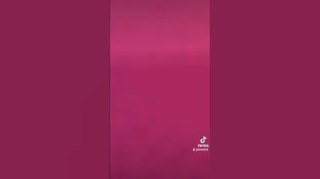 ماتيسر من سورة البينة بصوت القارئ ماهر المعيقلي