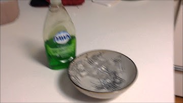 Surface Tension: Floating Paperclips Lab