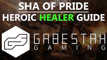 Sha of Pride Heroic Healer Guide [VOX]