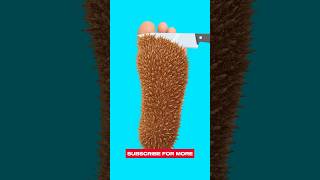 Foot Cleaning Asmr Animation
