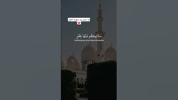 سورة النمل❤️ #قرآن #اكسبلور #قران_كريم #حالات_واتس #quran #لايك #سورة_النمل