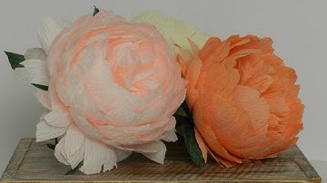 Crepe Paper Peony/Peonies
