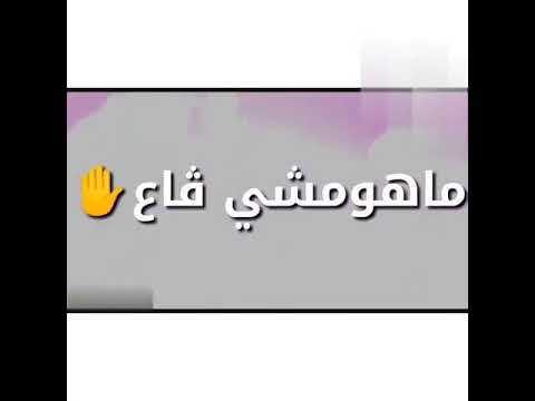 Statut WhatsApp Rai 2019 تزوجي وقيليني
